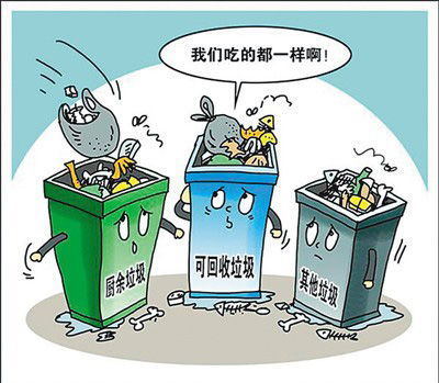 推动城市生活垃圾经营市场化，共建绿色宜居家园